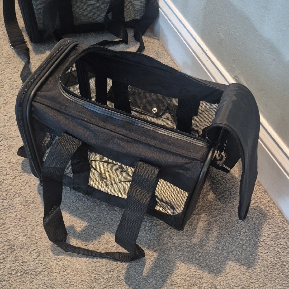 Black Mesh Pet Carrier